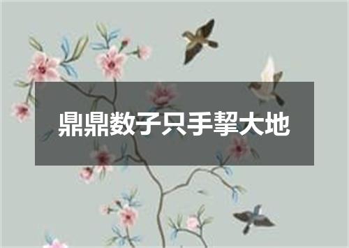 鼎鼎数子只手挈大地