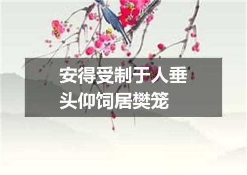 安得受制于人垂头仰饲居樊笼