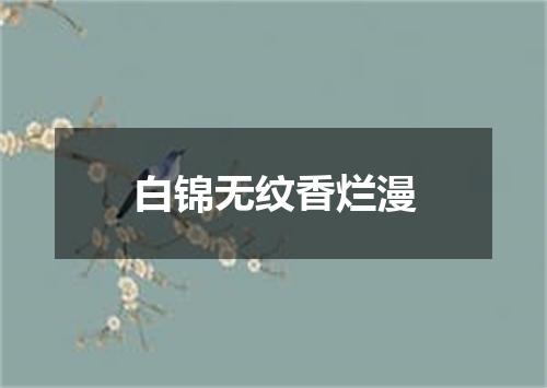 白锦无纹香烂漫