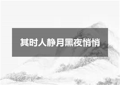 其时人静月黑夜悄悄