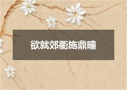 欲就郊衢施鼎曈