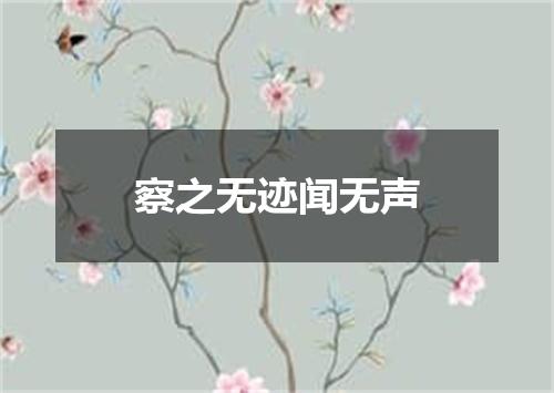 察之无迹闻无声