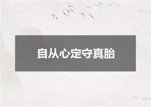 自从心定守真胎