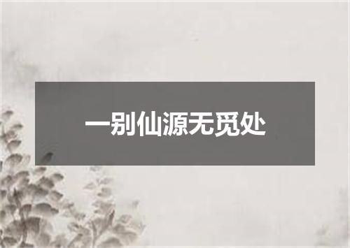 一别仙源无觅处