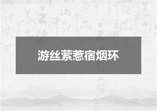 游丝萦惹宿烟环