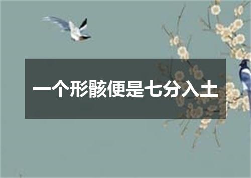 一个形骸便是七分入土