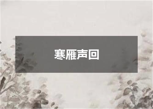 寒雁声回