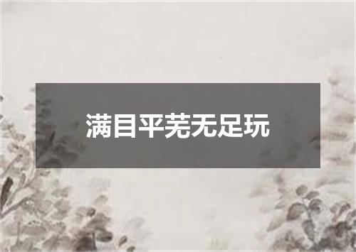 满目平芜无足玩