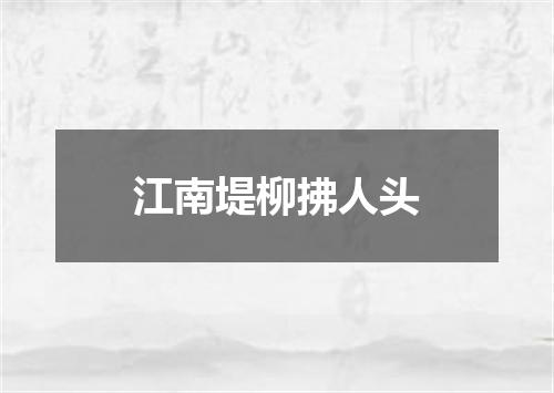 江南堤柳拂人头