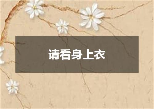 请看身上衣