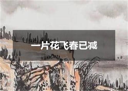 一片花飞春已减
