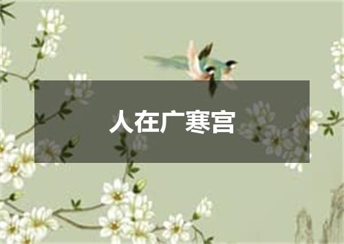 人在广寒宫