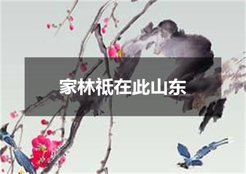 家林祗在此山东