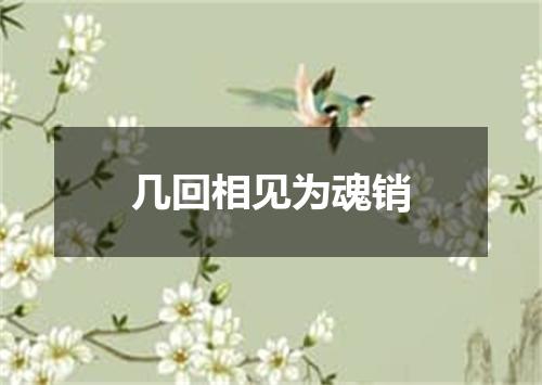 几回相见为魂销