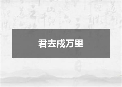 君去戍万里