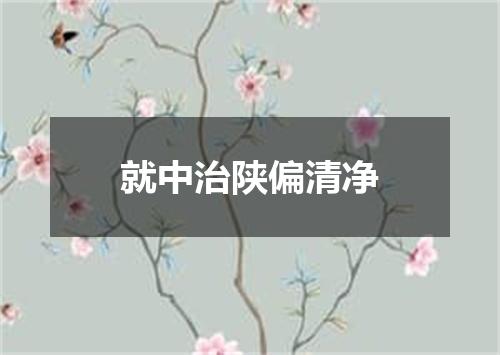 就中治陕偏清净