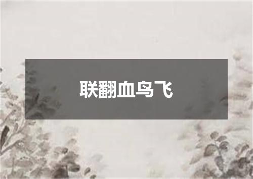 联翻血鸟飞
