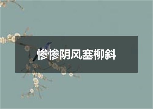 惨惨阴风塞柳斜