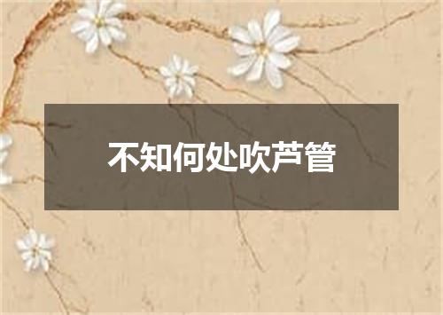不知何处吹芦管