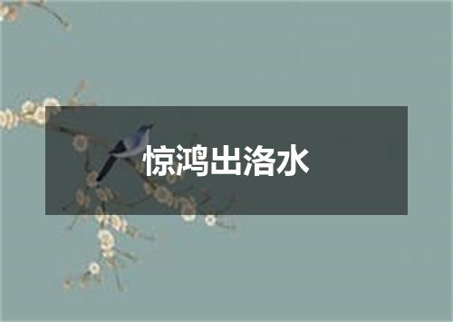 惊鸿出洛水