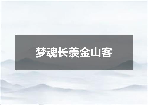 梦魂长羡金山客