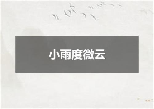 小雨度微云