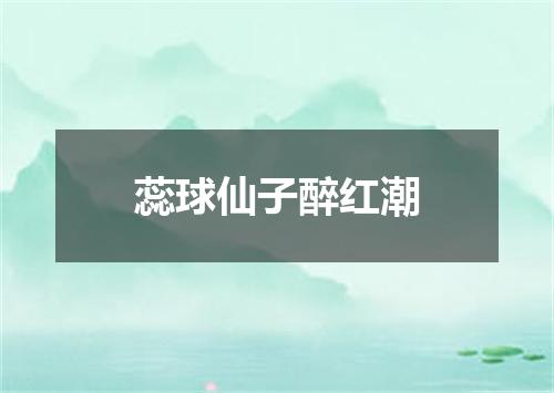 蕊球仙子醉红潮