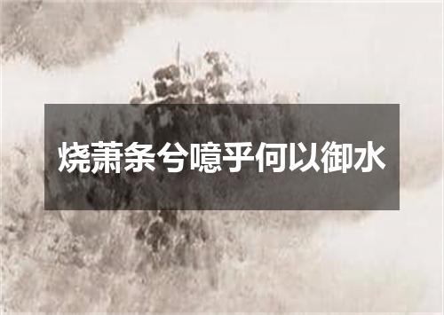 烧萧条兮噫乎何以御水