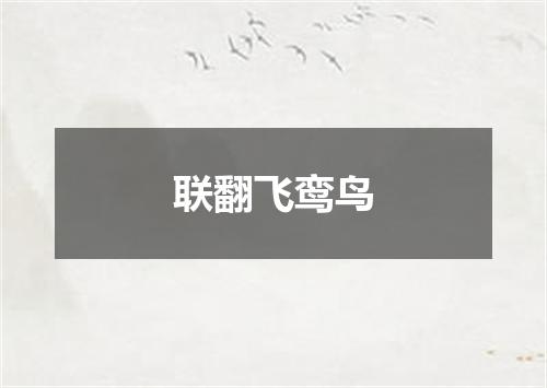 联翻飞鸾鸟