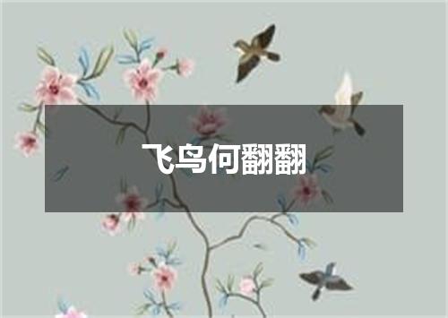 飞鸟何翻翻