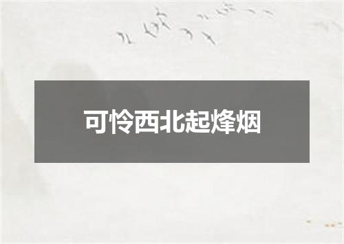 可怜西北起烽烟