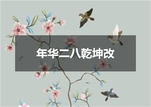 年华二八乾坤改