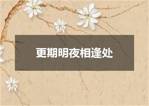 更期明夜相逢处