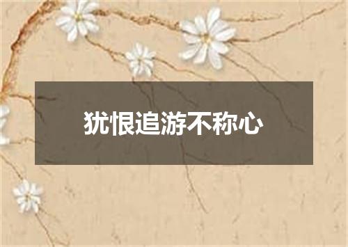 犹恨追游不称心