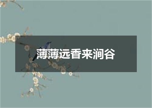 薄薄远香来涧谷