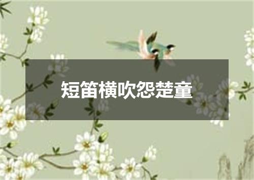 短笛横吹怨楚童