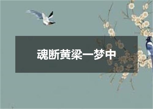 魂断黄梁一梦中