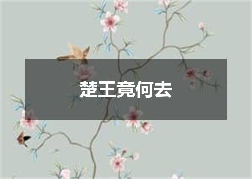 楚王竟何去