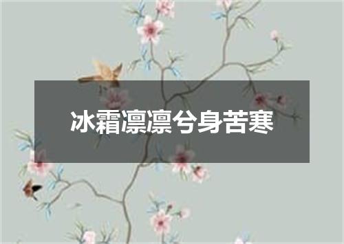 冰霜凛凛兮身苦寒