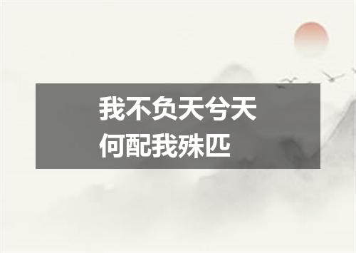 我不负天兮天何配我殊匹