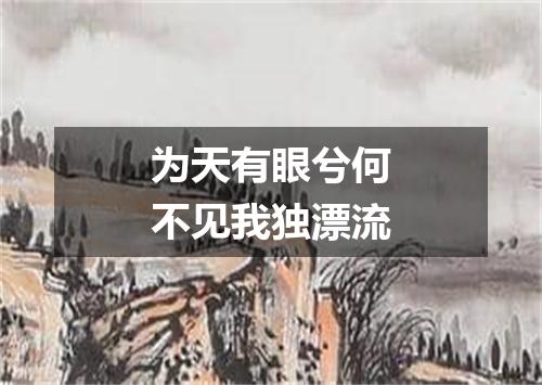 为天有眼兮何不见我独漂流