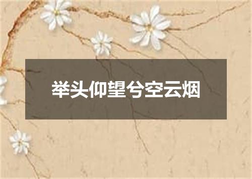 举头仰望兮空云烟