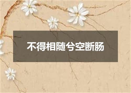 不得相随兮空断肠
