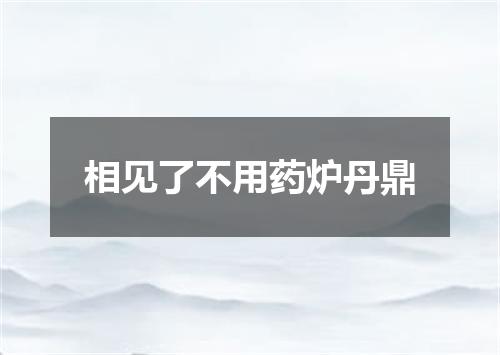 相见了不用药炉丹鼎