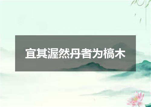 宜其渥然丹者为槁木