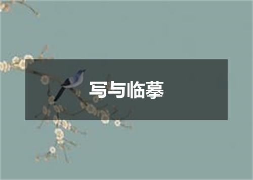 写与临摹