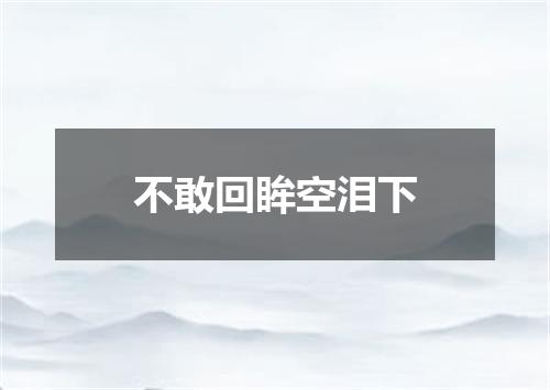 不敢回眸空泪下