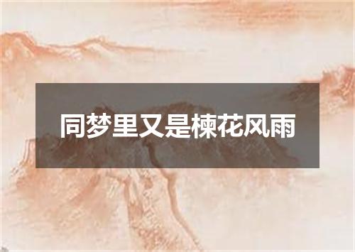 同梦里又是楝花风雨