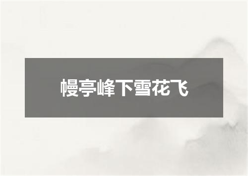 幔亭峰下雪花飞