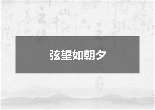 弦望如朝夕